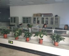 免费91视频下载展示