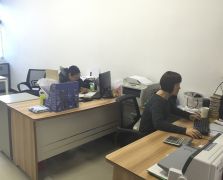 免费91视频下载展示